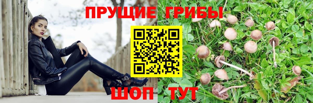 Аргун  Галлюциногенные грибы мухоморы  Вход с VPN  Галлюциногенные грибы MAGIC MUSHROOMS 